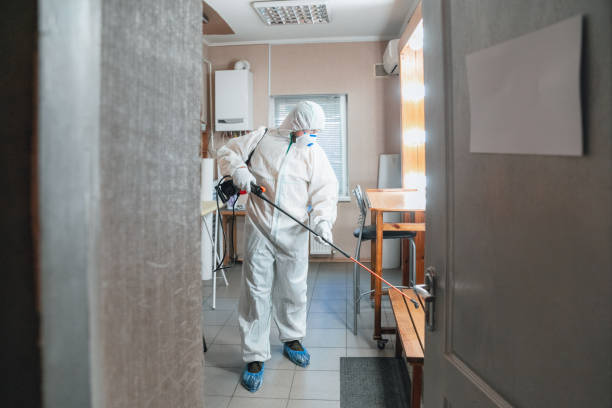 Biohazard Mold Removal in Rollingwood, CA